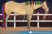 Horse Color:Painted Sable Cream Champagne 