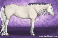 Horse Color:Cremello Splash  and Cremello Splash 