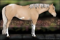Horse Color:Silver Blue Roan Pearl Tobiano Frame