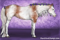 Horse Color:White Spotted Silver Bay Splash 