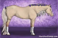 Horse Color:Silver Classic Champagne Dun Splash Frame 