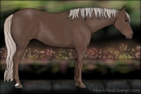 Horse Color:Silver Black 