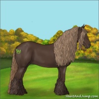 Horse Color:Liver Chestnut Rabicano 