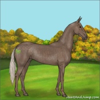 Horse Color:Silver Black 