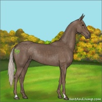 Horse Color:Silver Black 