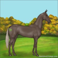 Horse Color:Silver Black 