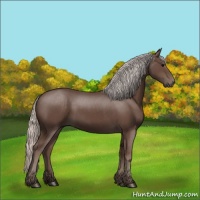 Horse Color:Silver Black 