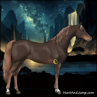 Horse Color:Liver Chestnut Rabicano 
