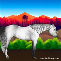 Horse Color:Gray Black  and Gray Black 