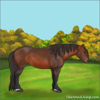 Horse Color:Brown 