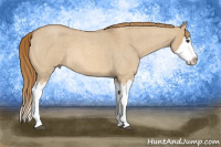 Horse Color:Red Dun Roan Splash Rabicano 