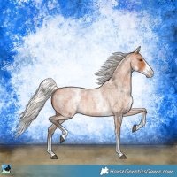 Horse Color:White Spotted Silver Bay Roan Splash