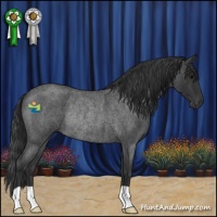 Horse Color:Blue Roan Rabicano 