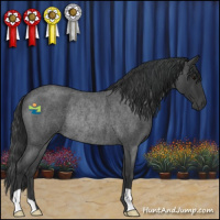 Horse Color:Blue Roan Rabicano 