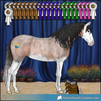 Horse Color:Bay Roan Splash Rabicano 