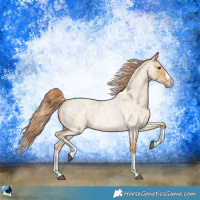 Horse Color:Red Dun Roan Splash Frame Rabicano 