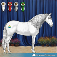 Horse Color:Gray Silver Blue Roan Blanket Rabicano 