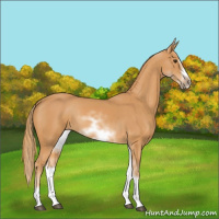 Horse Color:White Spotted Chestnut Sabino Frame 