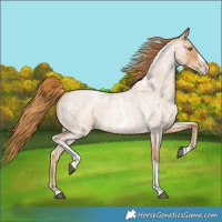 Horse Color:Red Roan Pearl Tobiano Frame 