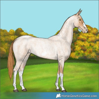 Horse Color:Red Roan Pearl Tobiano Frame 