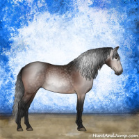 Horse Color:Gray Brown