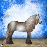 Horse Color:Gray Chocolate Palomino 