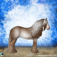 Horse Color:Gray Chestnut 