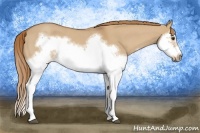 Horse Color:Red Dun Roan Splash Frame Rabicano 