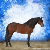 Horse Color:Bay Frame