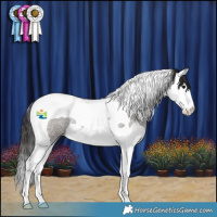 Horse Color:Smoky Grullo Roan Splash Tobiano Rabicano 