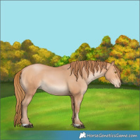 Horse Color:Bay Pearl 