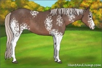 Horse Color:White Spotted Silver Black Sabino 