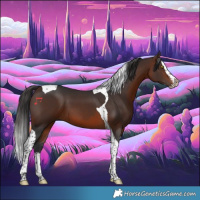 Horse Color:Brown Splash Tobiano 