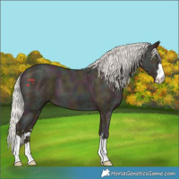 Horse Color:Midnight Silver Amber Champagne Ice 