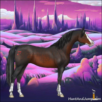 Horse Color:Brown Splash