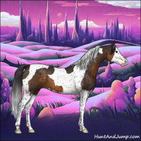 Horse Color:Buckskin Splash Tobiano 