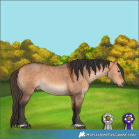 Horse Color:Bay Dun