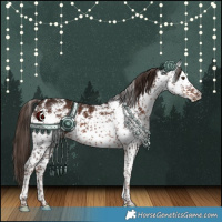 Horse Color:White Spotted Liver Chestnut Rabicano 