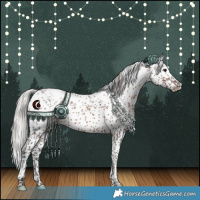 Horse Color:White Spotted Silver Brown Sabino 