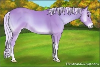 Horse Color:Watercolor Silver Buckskin Onyx 
