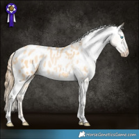 Horse Color:Buckskin Pearl Appaloosa