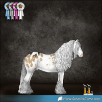 Horse Color:Buckskin Dun Blanket 