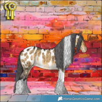 Horse Color:Buckskin Dun Tobiano Near Leopard Brindle 