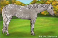 Horse Color:Silver Blue Ice Roan 