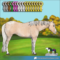 Horse Color:Silver Bay Ice Dun Splash Tobiano Rabicano and Silver Amber Champagne Ice Splash Tobiano Rabicano