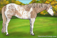 Horse Color:White Spotted Palomino Ice Sabino Splash Varnish Rabicano  and Chestnut Ice Sabino Splash Tobiano Varnish Rabicano 