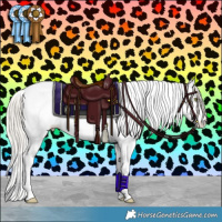 Horse Color:Silver Classic Champagne Dun Splash Tobiano Rabicano 