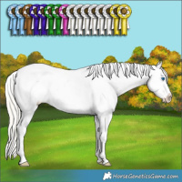 Horse Color:Silver Grullo Sabino Splash Appaloosa Rabicano  and Silver Black Ice Splash Tobiano Appaloosa Rabicano 