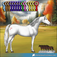 Horse Color:Silver Black Tobiano Varnish Rabicano 