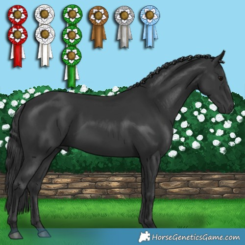 Horse Color:Black 